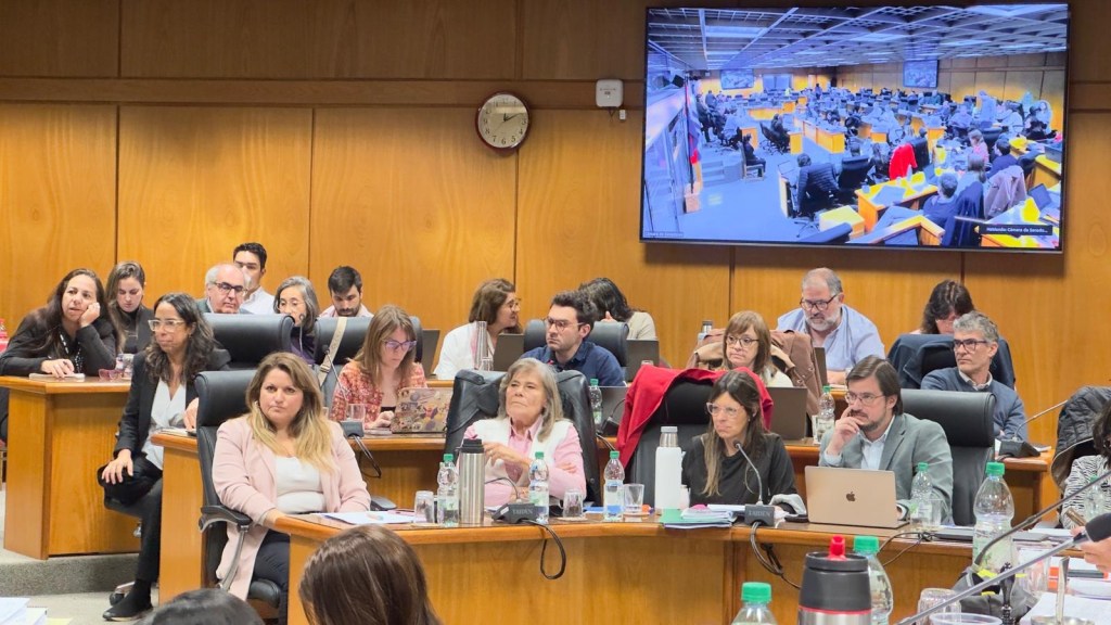 Presupuesto y niñez: una oportunidad para enfrentar la desigualdad&nbsp;estructural