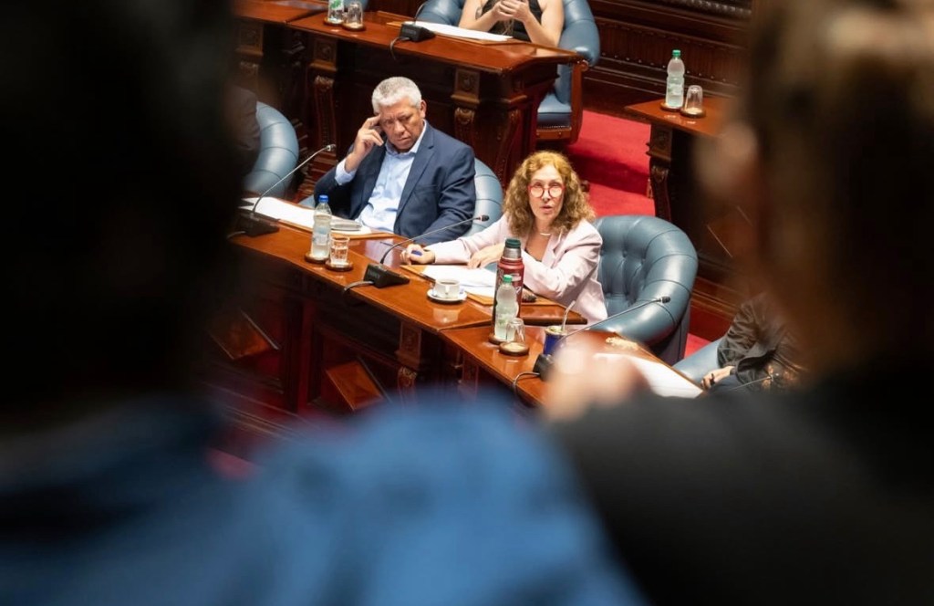 Violencia política basada en&nbsp;género