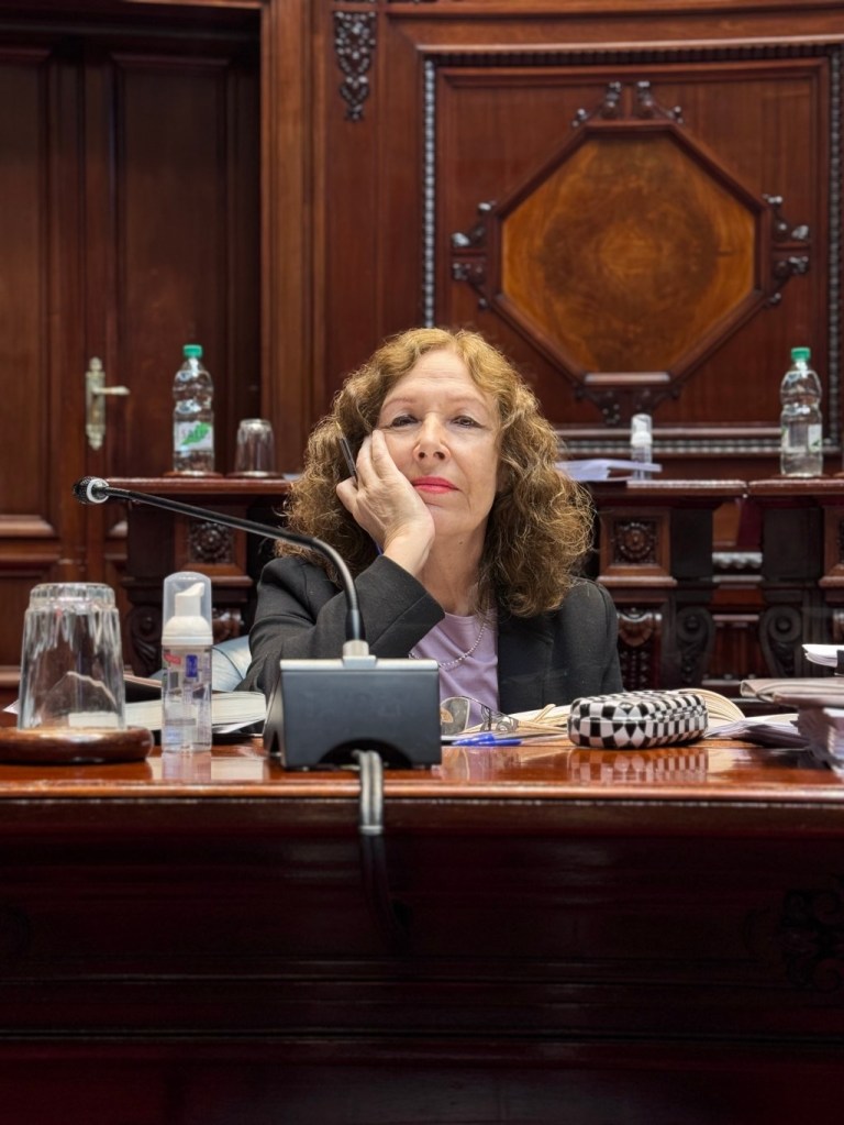 El Senado aprobó el proyecto de ley de inscripción de hijos que amplía derechos y reconoce nuevas formas de&nbsp;familia